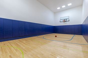A basketball court in the center of a room with a basketball hoop